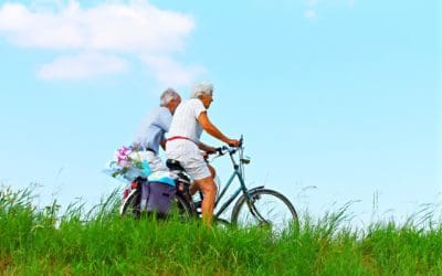 Wellness Programs that Promote Senior Health and Fitness